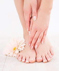 Rectangle-673 about1